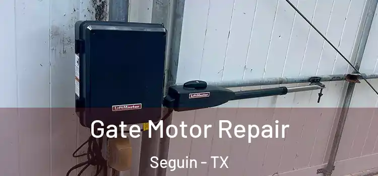 Gate Motor Repair Seguin - TX